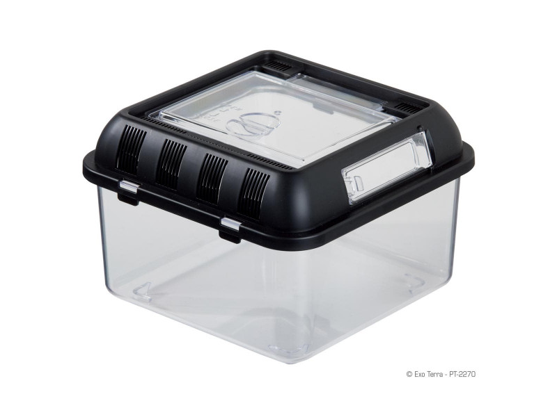 Exo Terra Breeding Box - Small - 20,5x20,5x14 cm