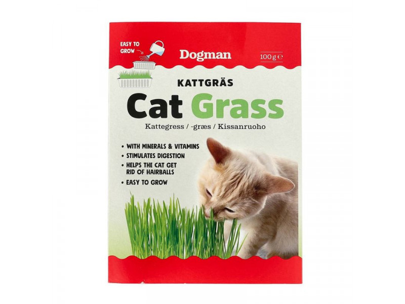 Kattgräs Dogman