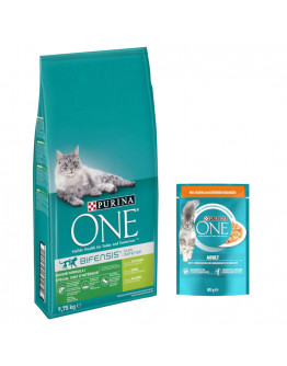 9,75 kg PURINA ONE torrfoder + 13 x 85 g våtfoder på köpet! - Indoor Formula  + Adult Kyckling & gröna bönor