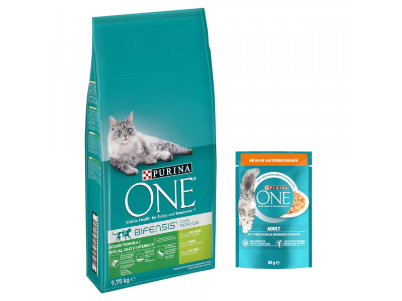 9,75 kg PURINA ONE torrfoder + 13 x 85 g våtfoder på köpet! - Indoor Formula  + Adult Kyckling & gröna bönor