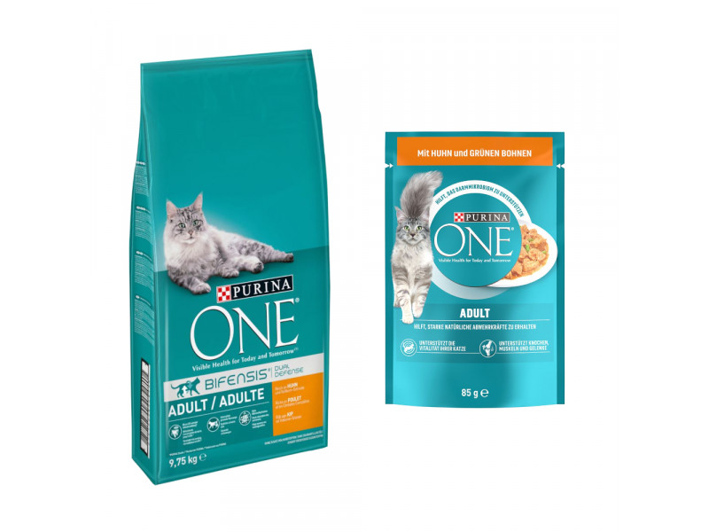 9,75 kg PURINA ONE torrfoder + 13 x 85 g våtfoder på köpet! - Adult Kyckling & fullkorn + Adult Kyckling & gröna bönor