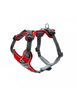 Divo Reflect Sele - Röd/grå / L