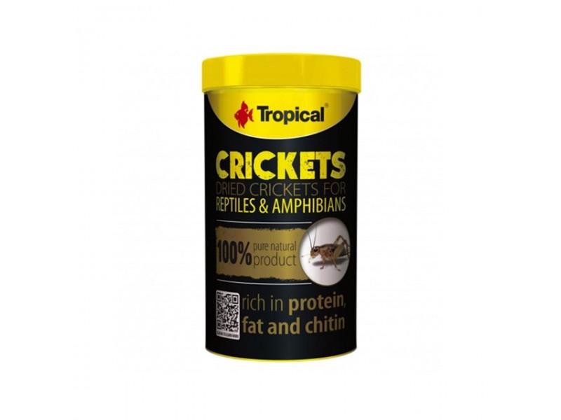 Tropical Crickets - 100 ml