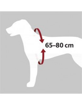 Bilsele Dog Protect - Large