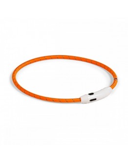 Basic LED-halsband till hund Nylon (Orange)