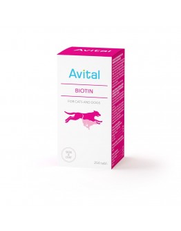 Avital Biotin