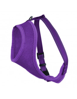 Kattsele Iris Lila S