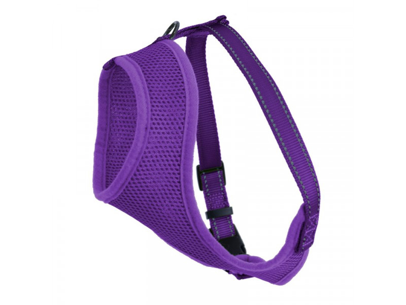 Kattsele Iris Lila S