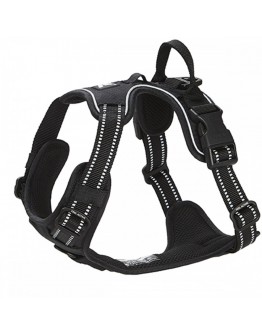 Feel Active Training Hundsele Svart (XL)