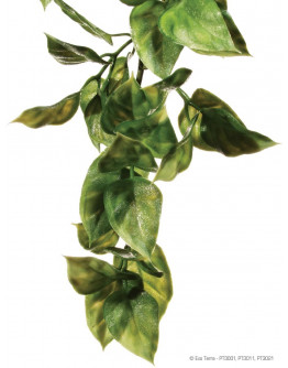 Exo Terra - Amapallo - Large