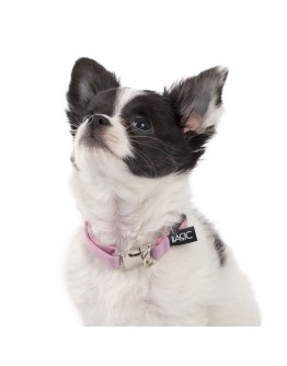 Basic Sweet Valphalsband med metalllås 20-30cm (Lila)