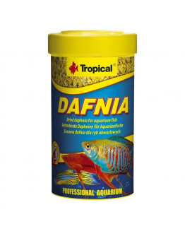 Tropical Dafnia - Daphnia - 100 ml