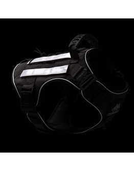 Cerberos Reflexremmar