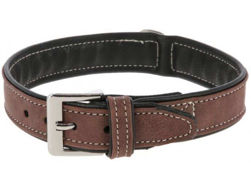 Hundhalsband California