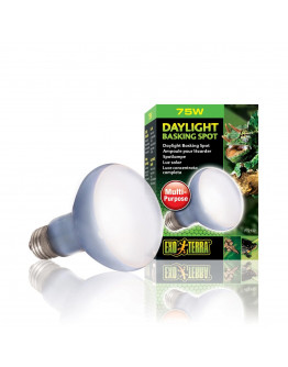 Exo Terra Daylight Basking Spot 75 W