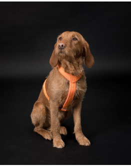 Easy Harness Reflekterande Hundsele Orange - L