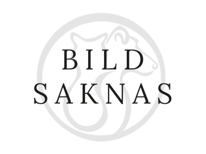 HS Aqua Nano Akvarium - 20x20x25 cm - 10 liter